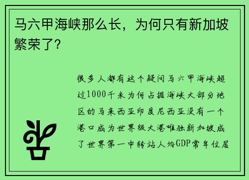 马六甲海峡那么长，为何只有新加坡繁荣了？