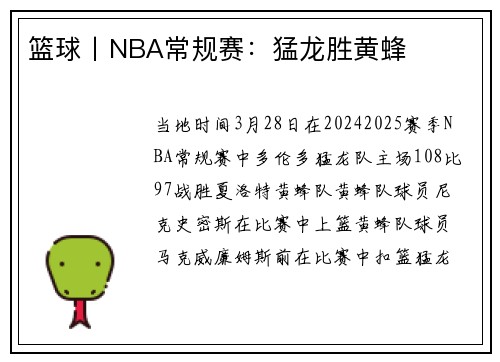 篮球丨NBA常规赛：猛龙胜黄蜂